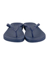 Ipanema Anat Colors Fem - Blue/Navy